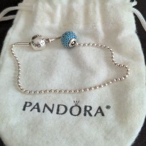 Pandora bracelet and wisdom charm